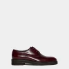 Bobo Lace Ups