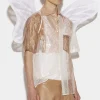 Butterfly Wings