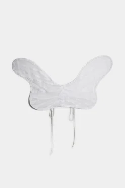 Butterfly Wings