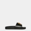 D2 Statement Slides