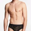 Dsq2 Brief