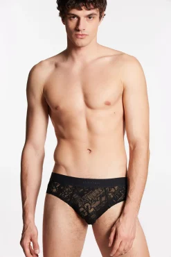 Dsq2 Brief