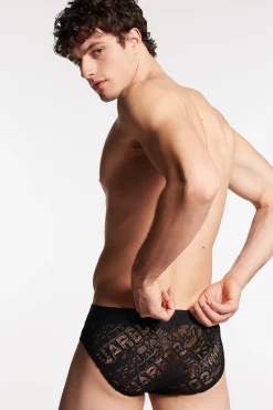Dsq2 Brief