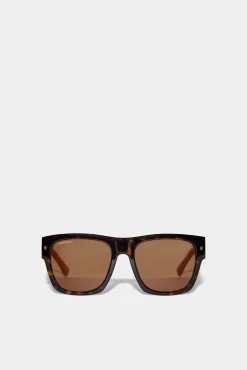 Icon Havana Sunglasses